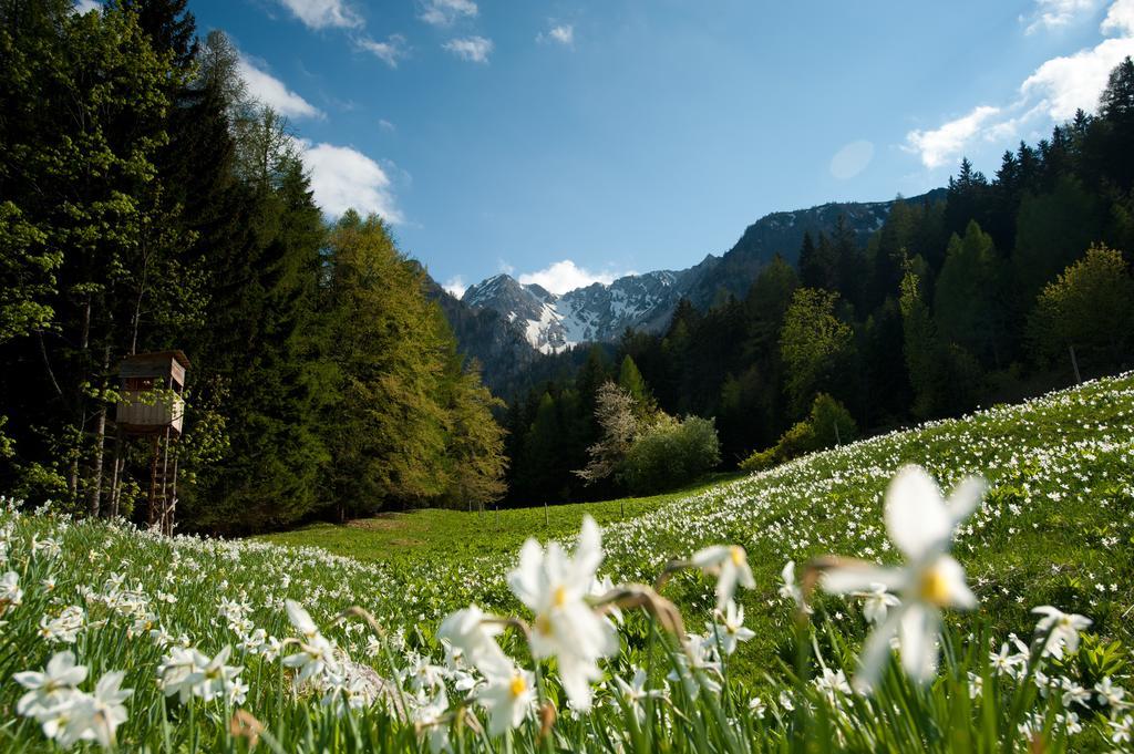 Gasthaus Stefaner Feistritz im Rosental Exteriér fotografie